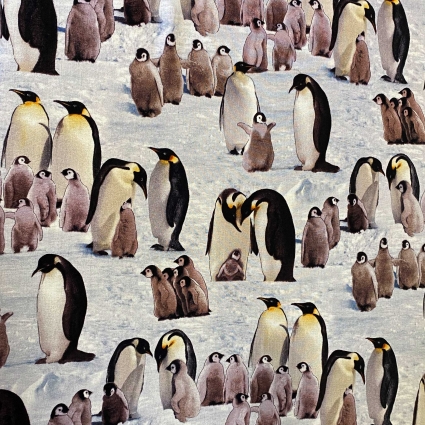 Stoff 863 - Pinguine  *